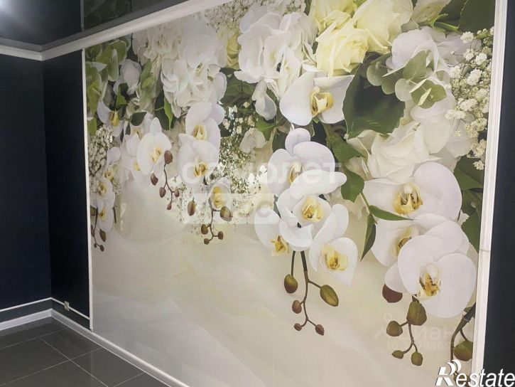 Помещение свободного назначения улица Перекальского, 11,  д. 11