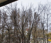 2-комн, 47кв м, этаж 3/9 ул Косухина, 1