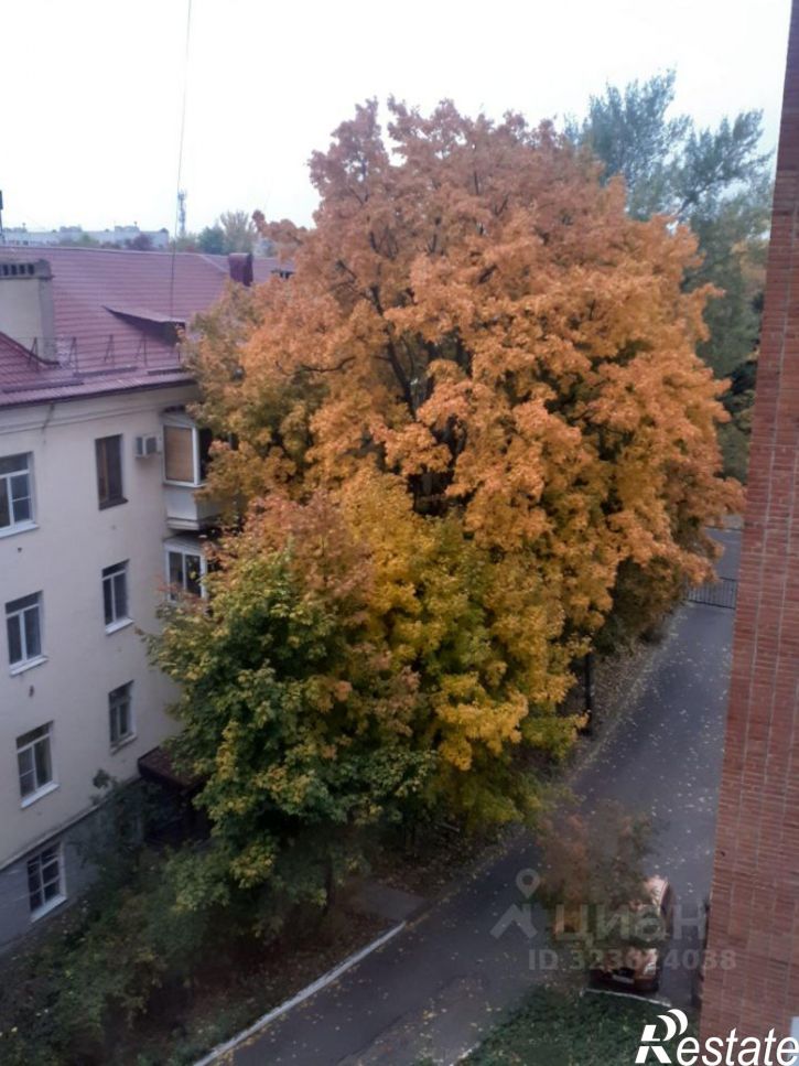 2-комн квартира ул Радищева, 66,  д. 66