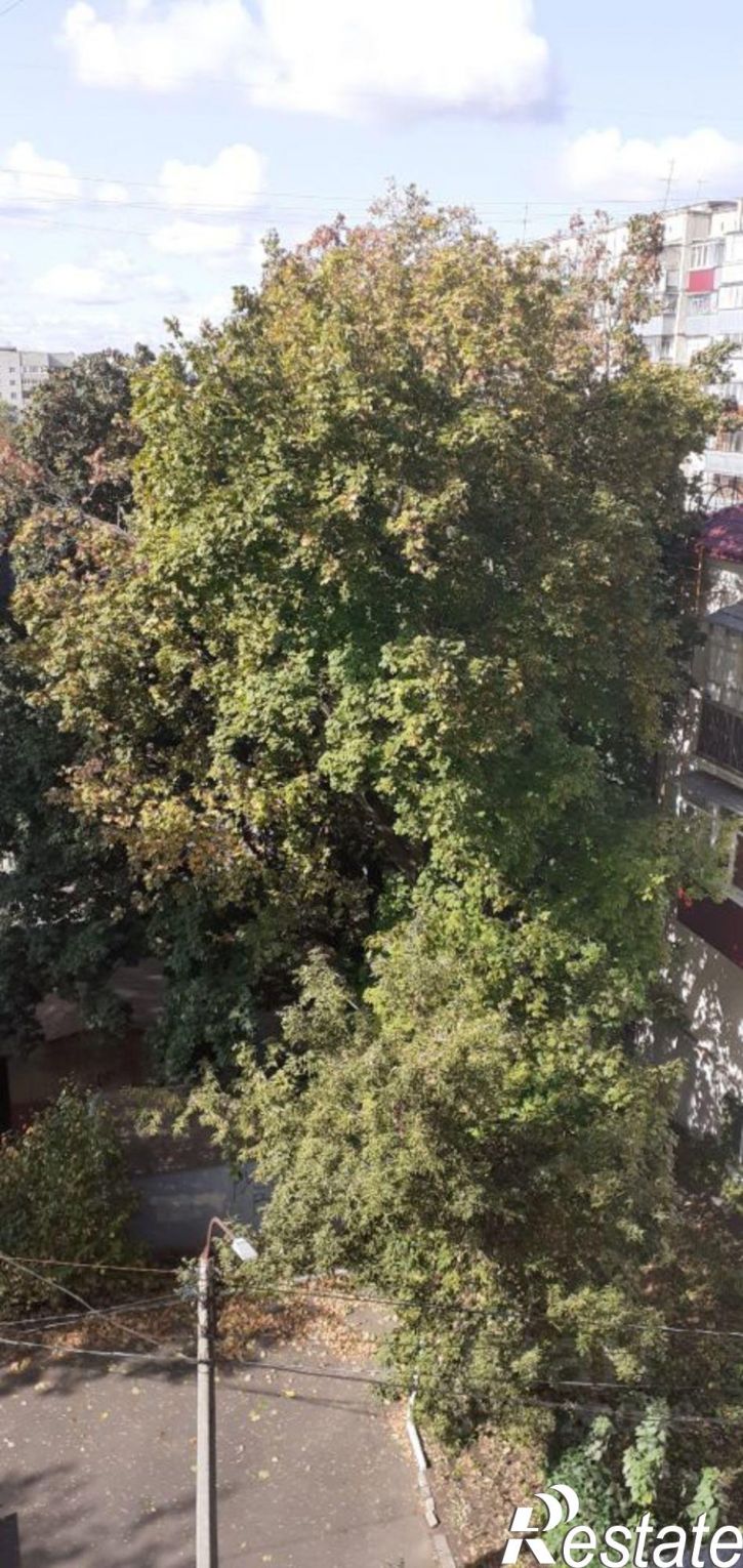 2-комн квартира ул Радищева, 66,  д. 66