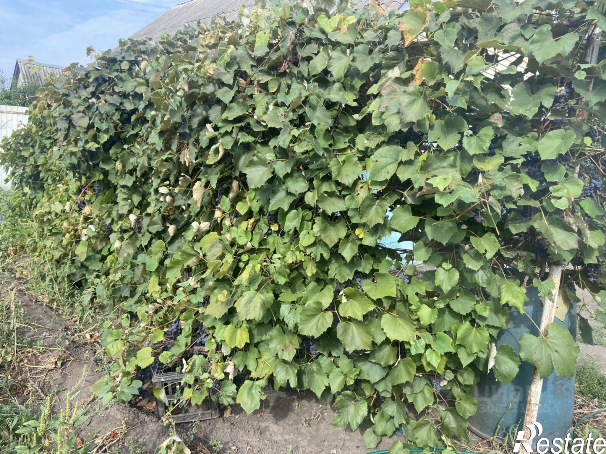 Сдать дачу, дом, коттедж за 55 000 рублей на Локомотивная улица, 8