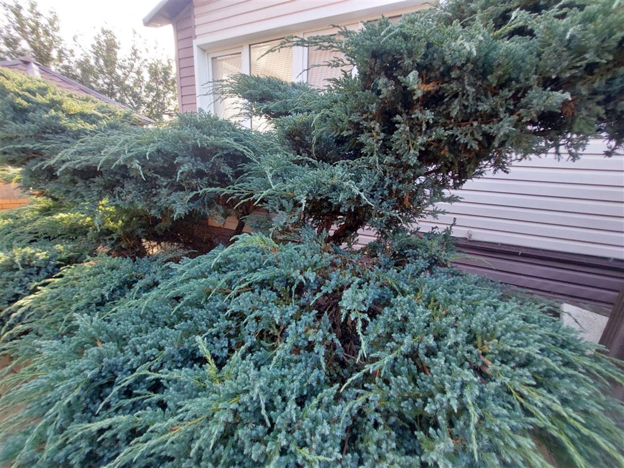 Купить дачу, дом, коттедж за 11 500 000 рублей на пер Островского