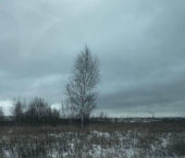 земля 10 сот СНТ Крутой Лог, 58