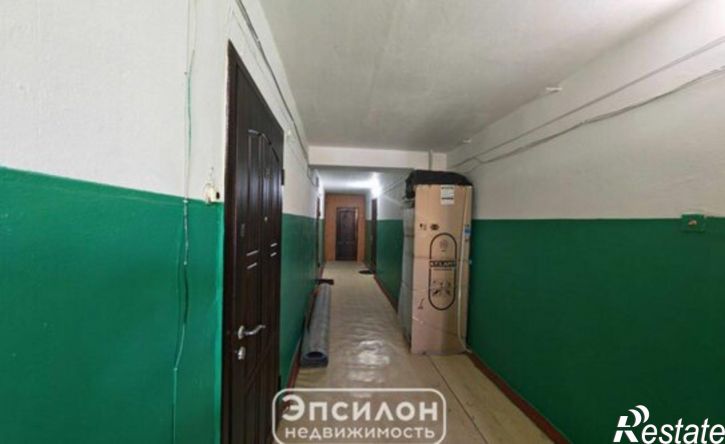1-комн квартира ул Пучковка, 19А,  д. 19А