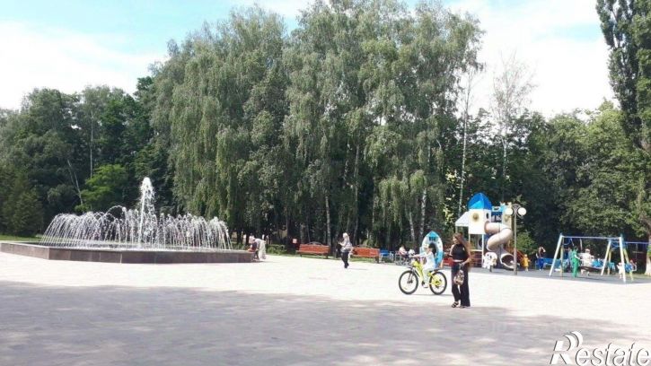 Комната ул Дружбы, 13,  д. 13