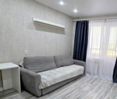 1-комн, 30кв м, этаж 5/9 пр-кт Дружбы, 11