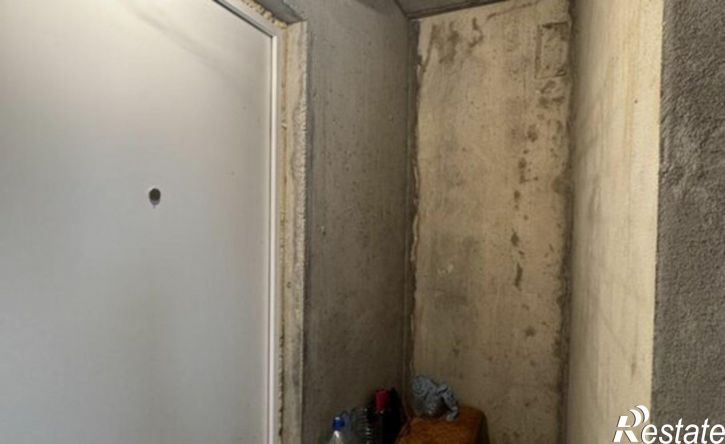 1-комн квартира Надежды Плевицкой пр-кт, 11А,  д. 11А