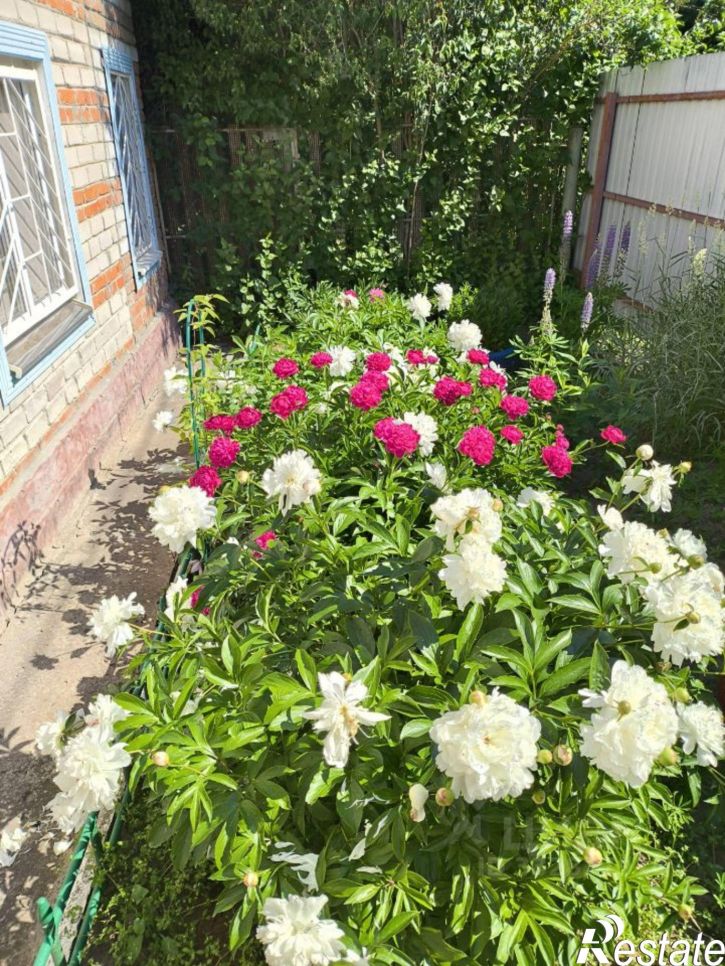Коттедж/дом садовое товарищество Урожай, 30