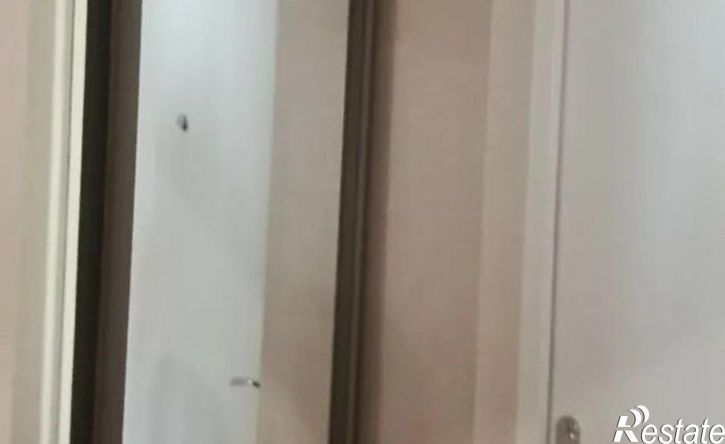 2-комн квартира Надежды Плевицкой пр-кт, 6,  д. 6