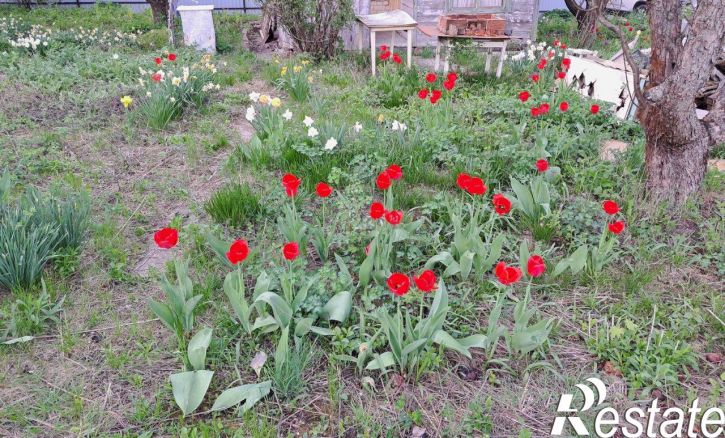 Коттедж/дом СНТ Красная Звезда, 132